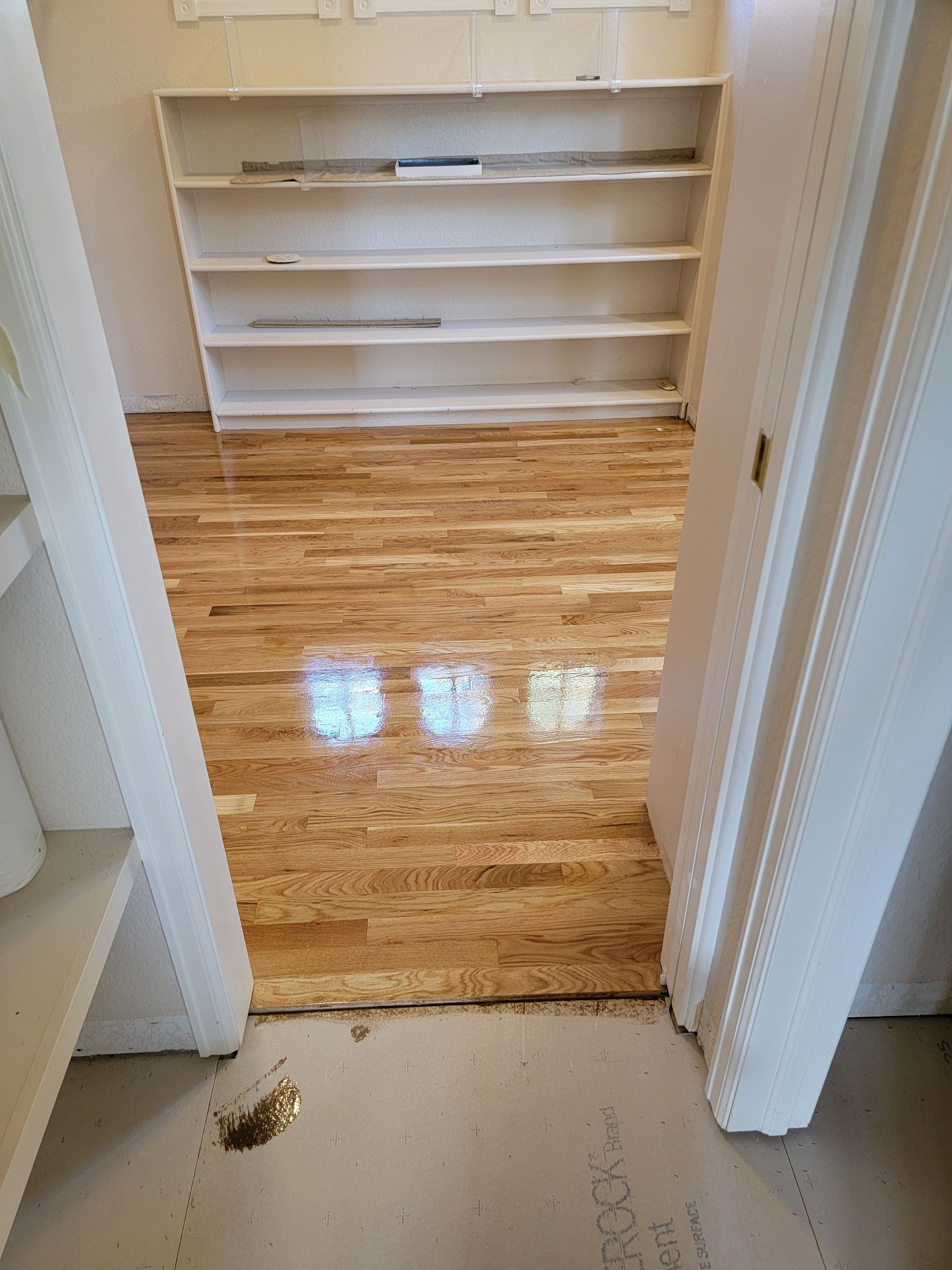 Doorway to a small room with hardwood floors, white built-in shelves, and a white trash can on the left.