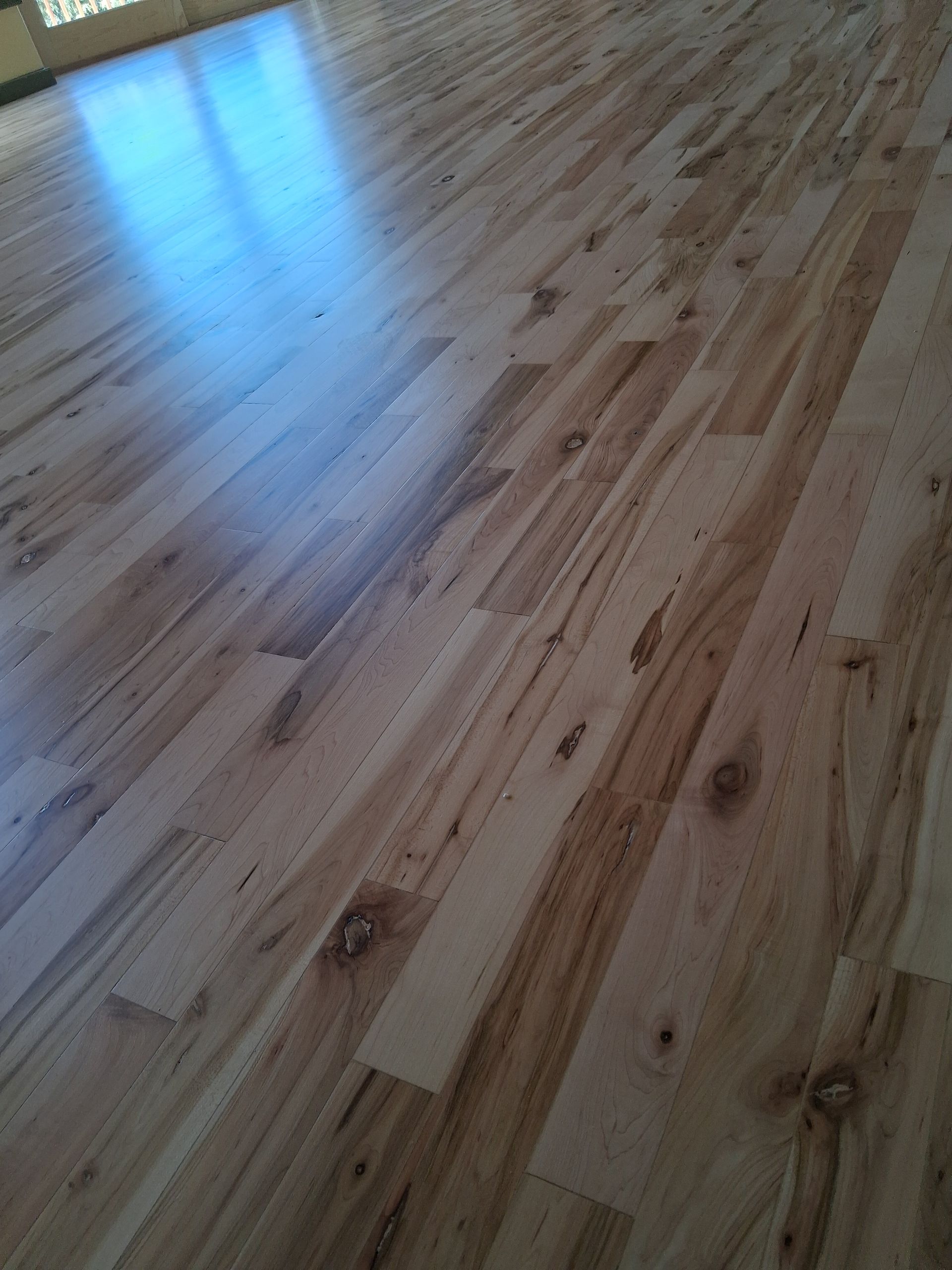 Shiny light wood floor with a blue window reflection