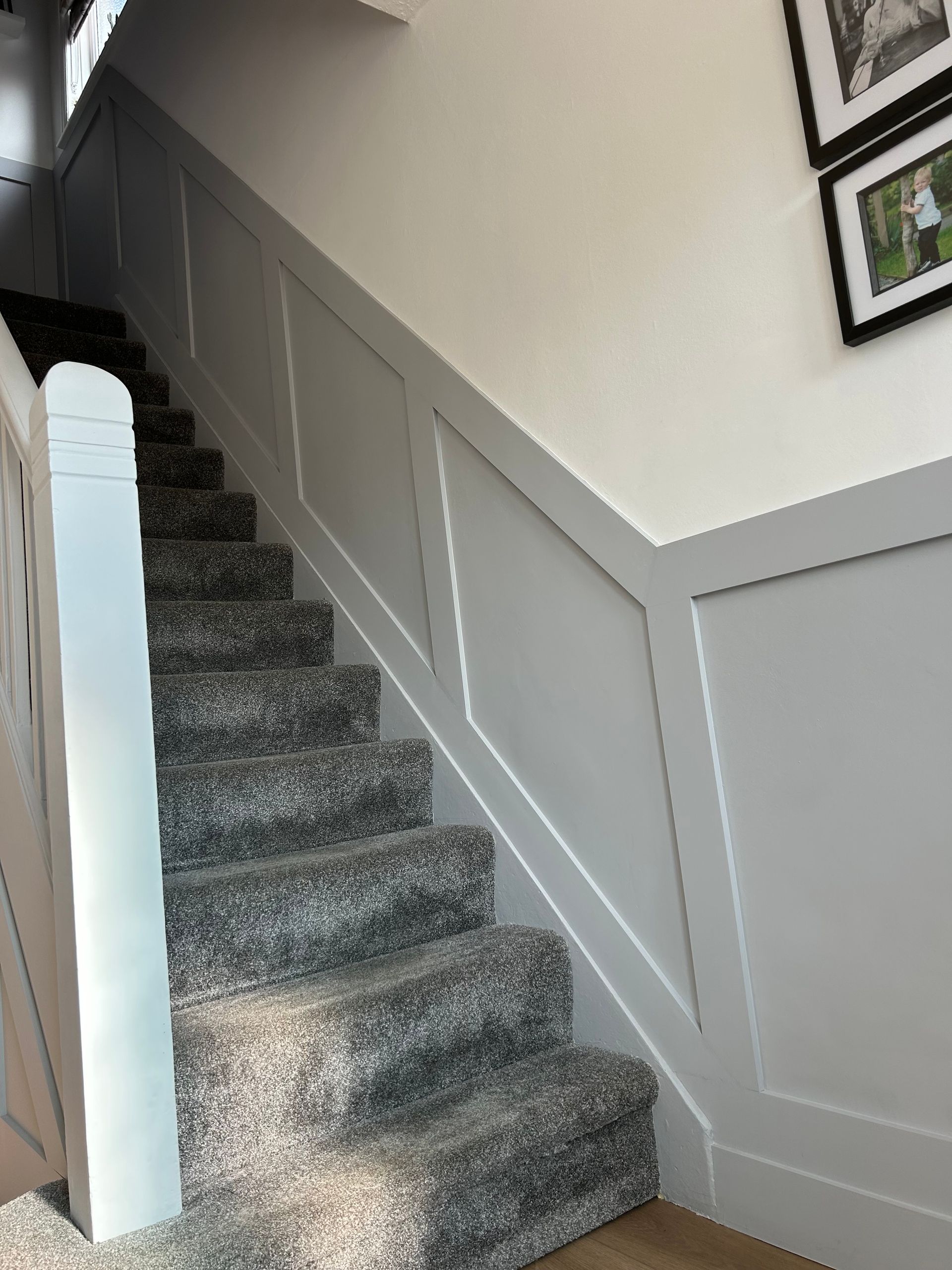Carpeted staircase with white railing and gray walls in a home hallway
