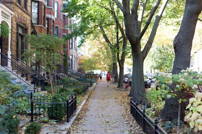 Trees and Property Value