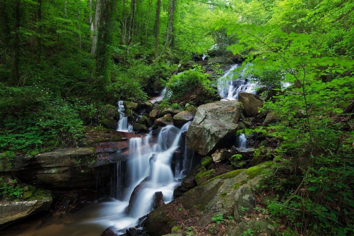 a waterfall in the middle of a forest surrounded by trees and rocks .