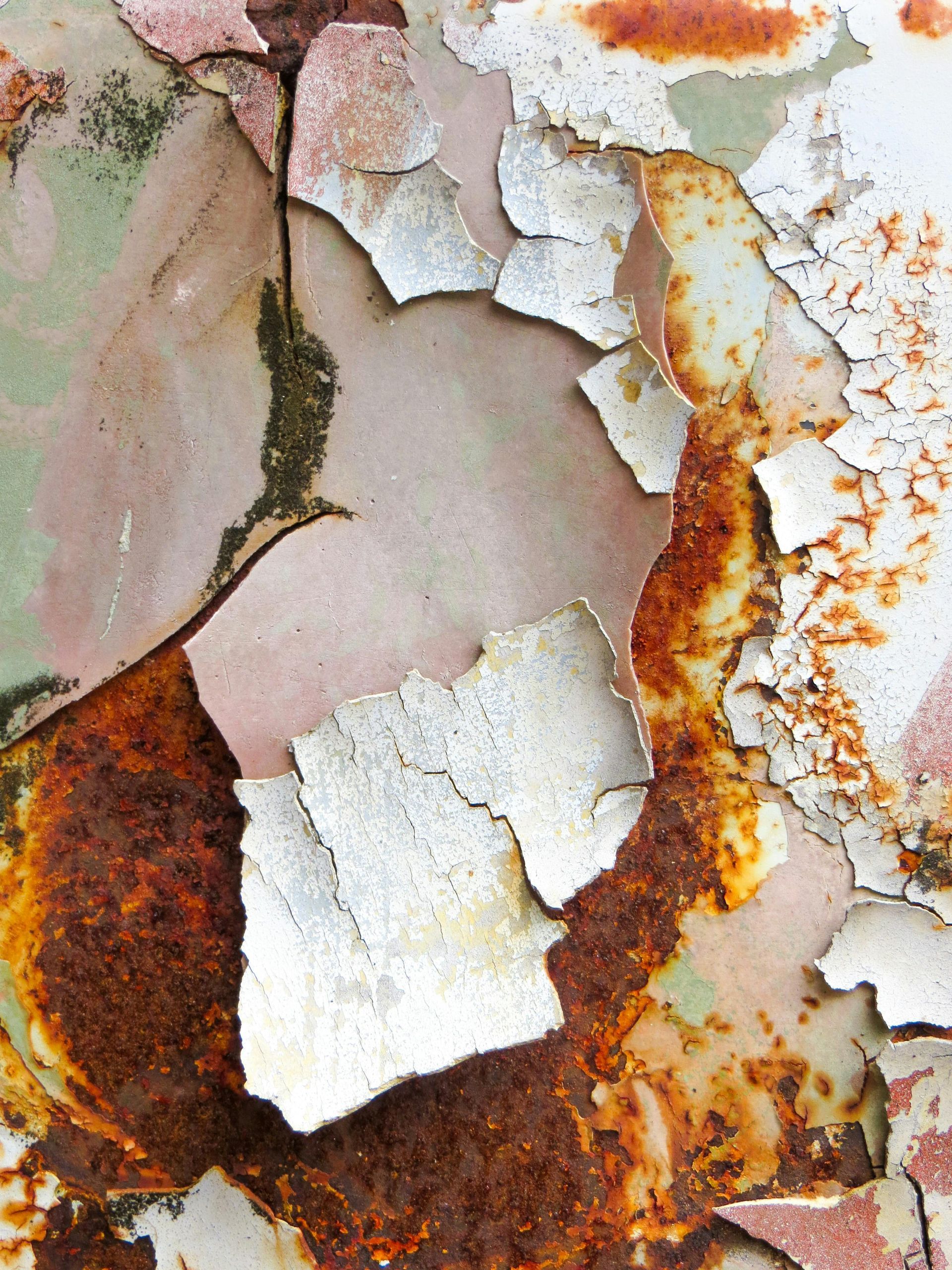 Coating defects of cracked and peeling paint on rusted metal; shades of off-white.