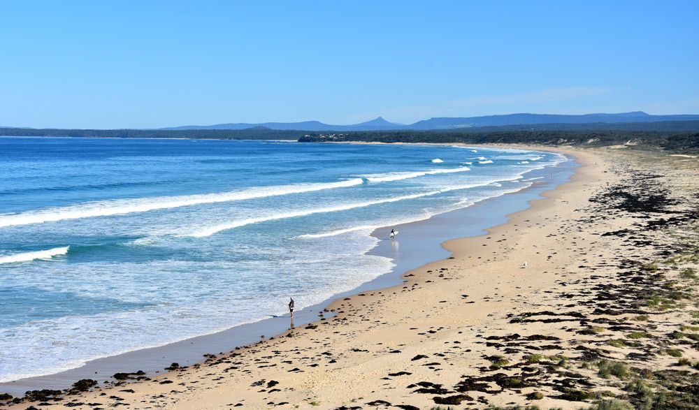 Beach With Waves In Ocean Shores And Grass Grown On Beach — Security Systems In Ocean Shores, NSW