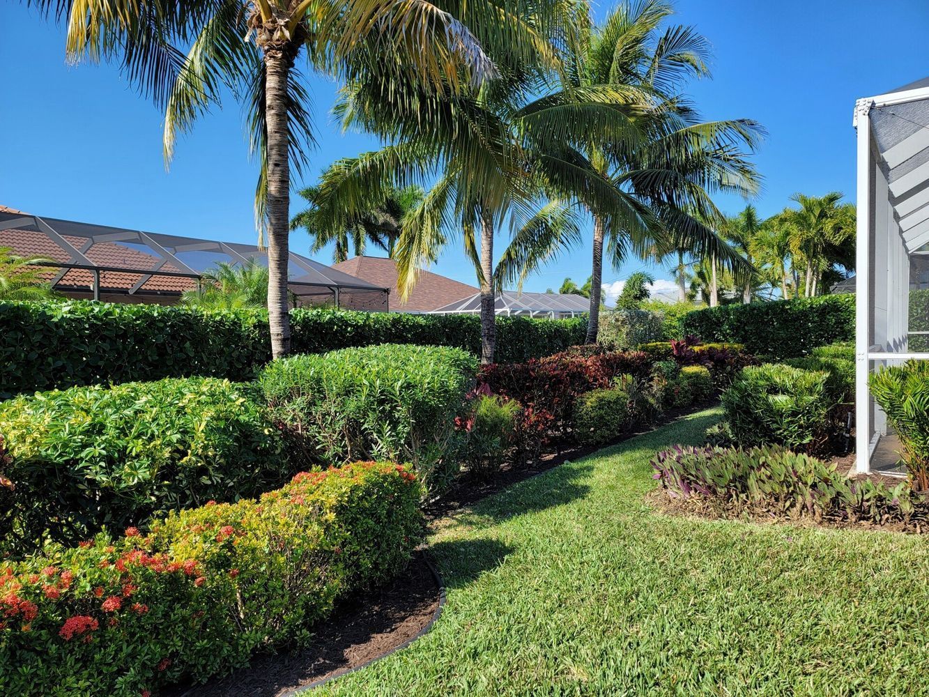 Lush green landscaping with palm trees, shrubs, and a lawn under a bright blue sky.