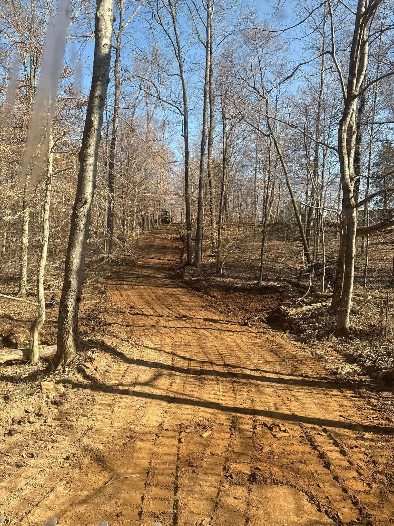 Sunlit dirt trail winding uphill through a leafless forest