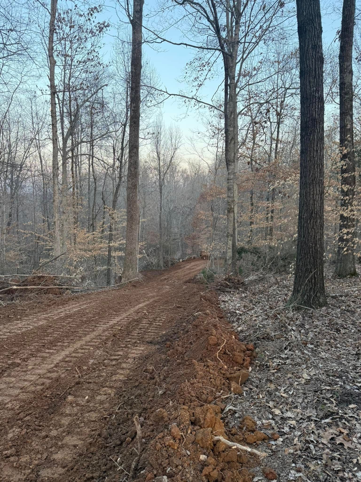 Leaf-covered dirt road winding through a bare forest in winter, with tall trees and misty light