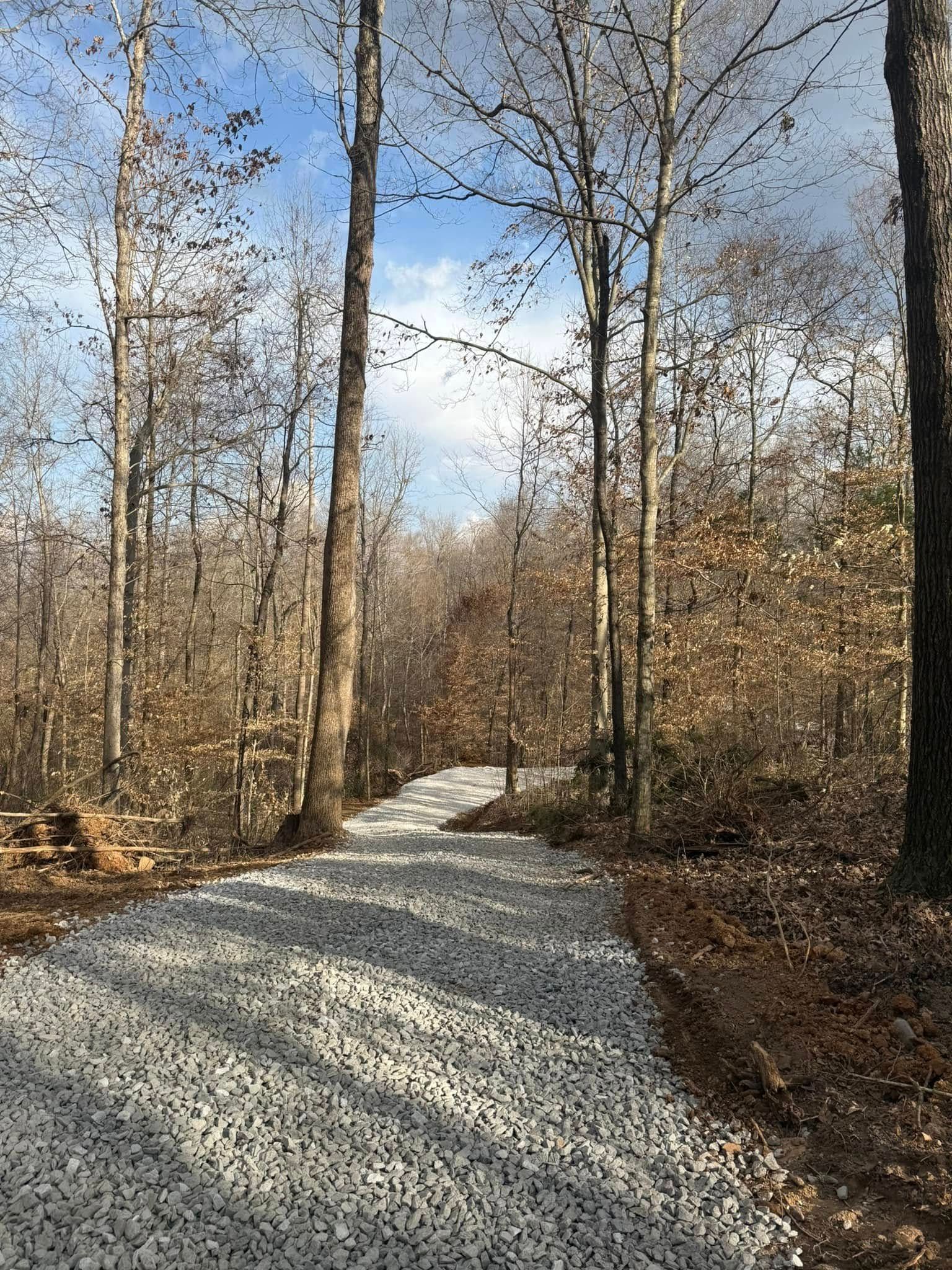 Gravel trail winding through a leafless forest under a partly cloudy sky