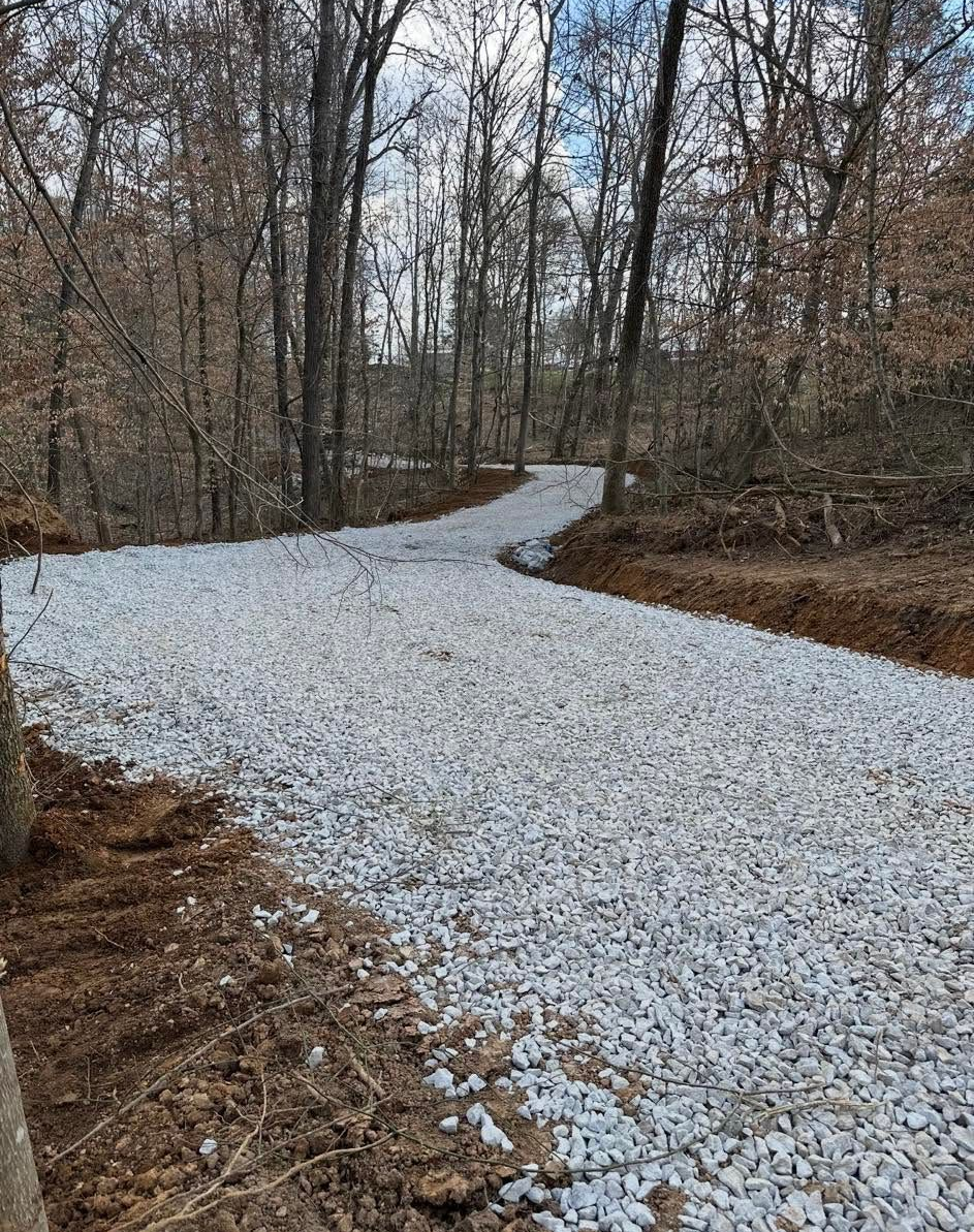 Gravel path curving through a leafless wooded forest in winter