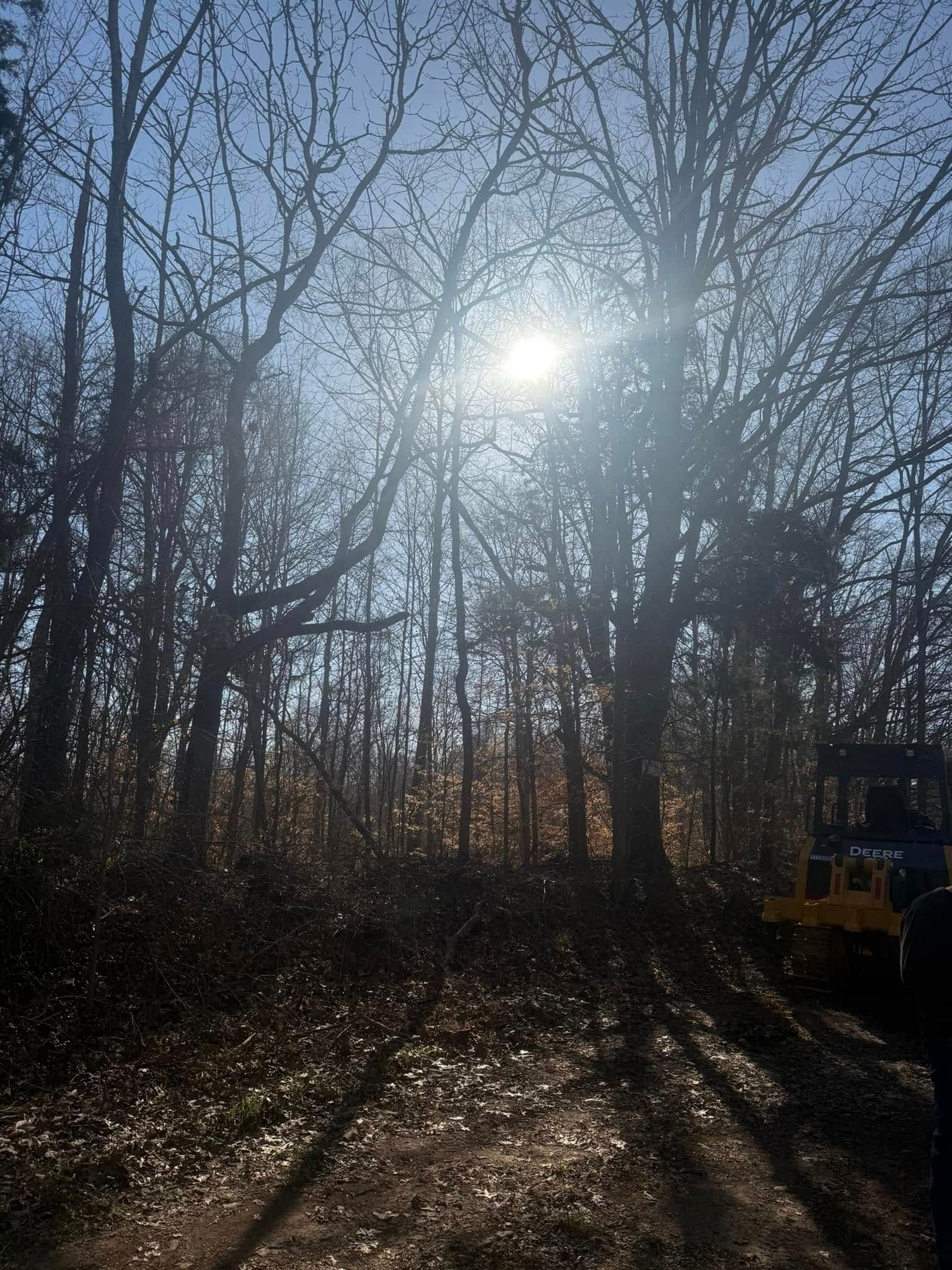 Sunlight through bare trees in a wooded area, with a yellow construction vehicle at the edge of the frame