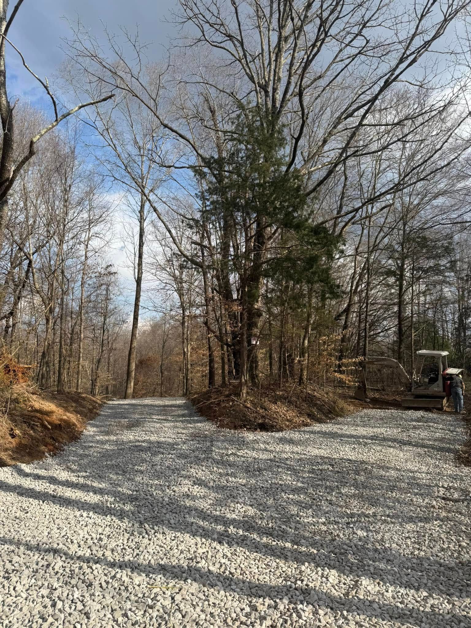 Gravel path through leafless trees under a blue sky, with sunlight casting long shadows.