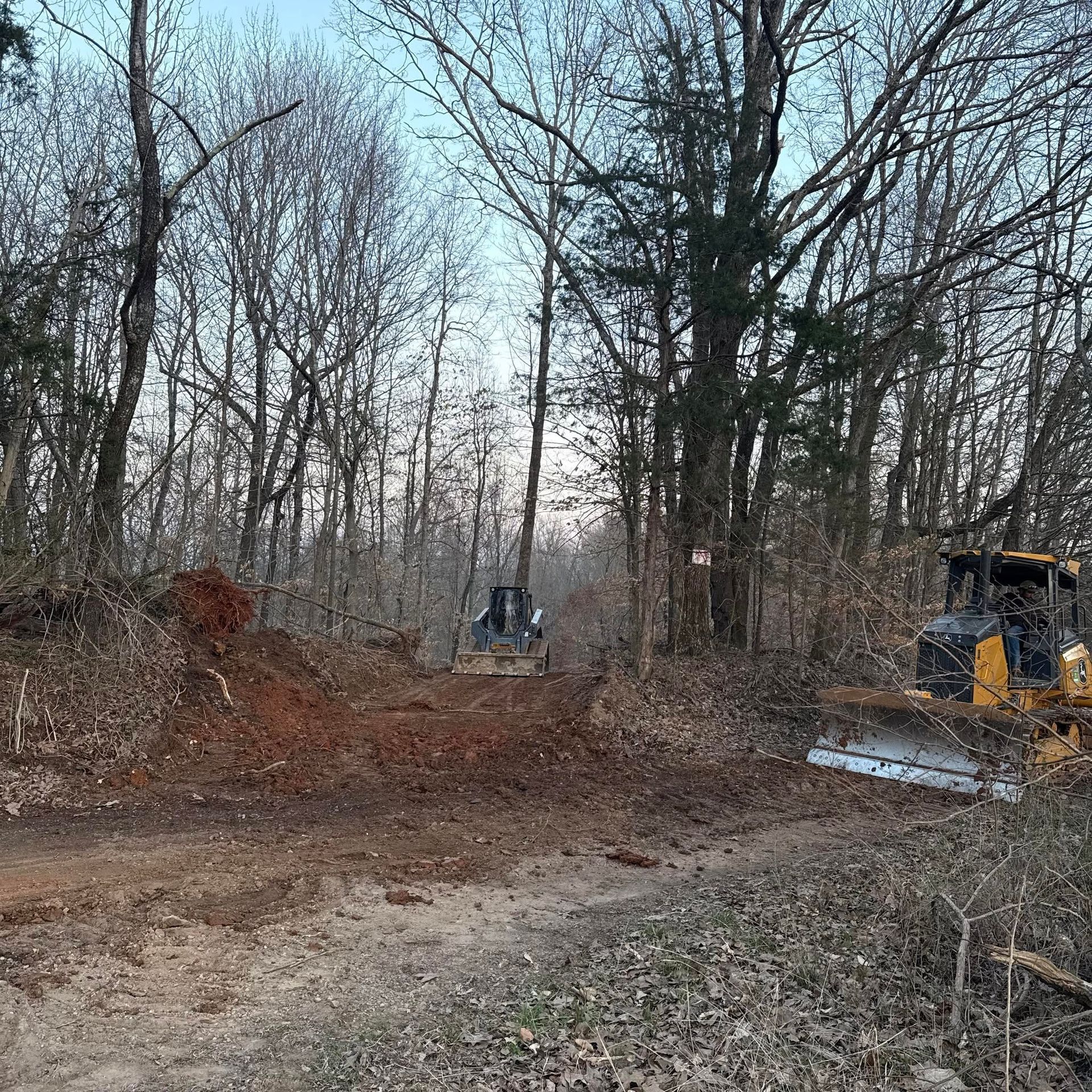 Cleared woodland area with a bulldozer on the right and bare trees in winter.