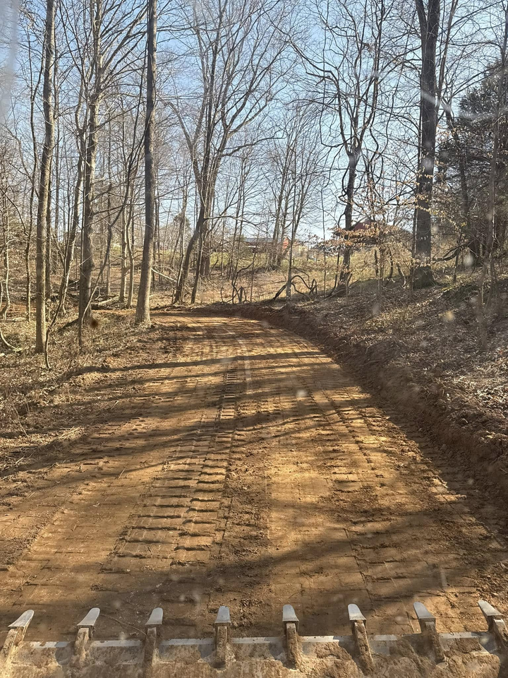 Dirt trail through a sparse winter forest with bare trees and a small bridge in the foreground
