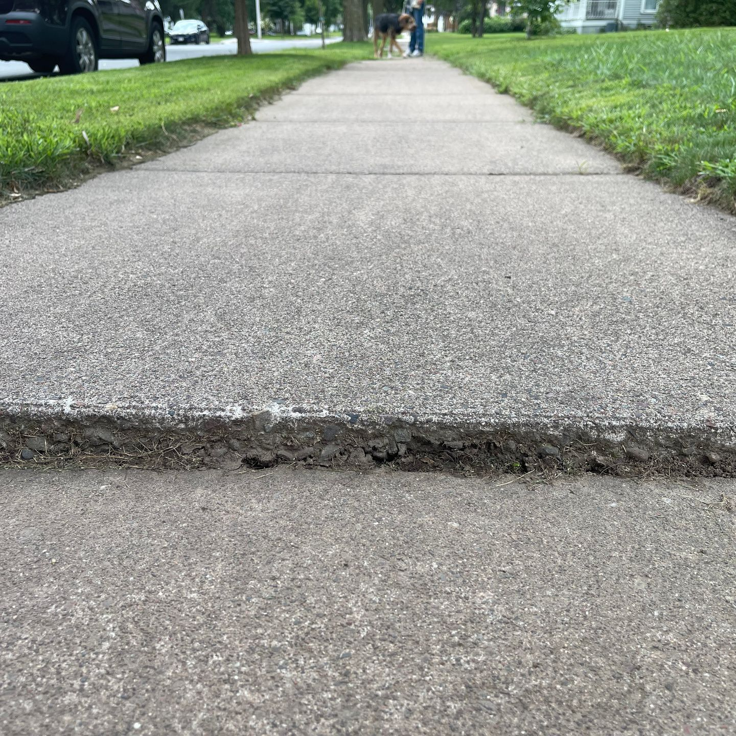 Sidewalk with a raised edge; grass borders on each side; people in the distance.
