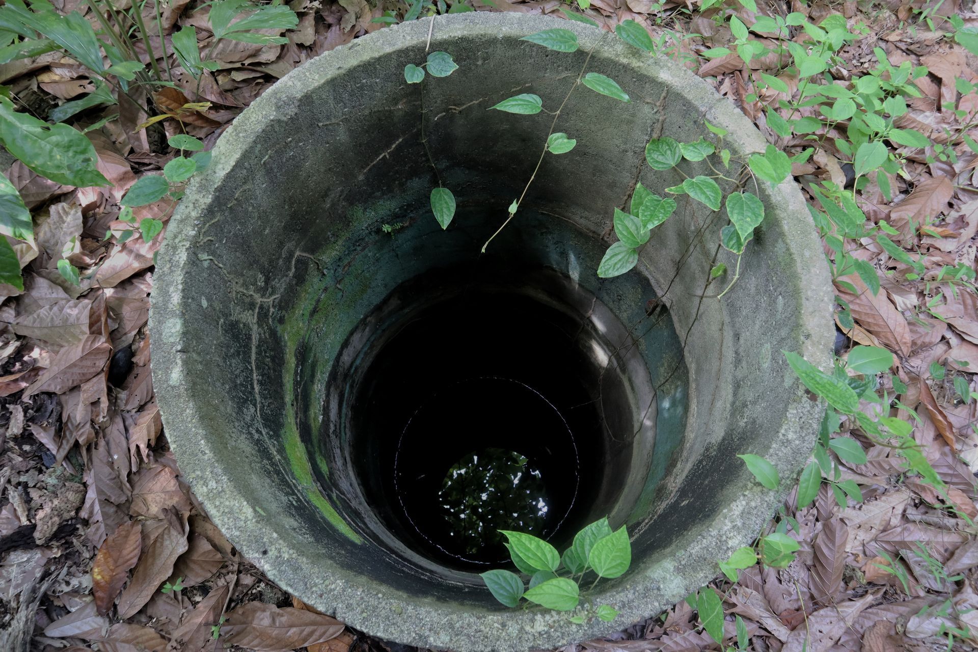 tank removal services raleigh nc