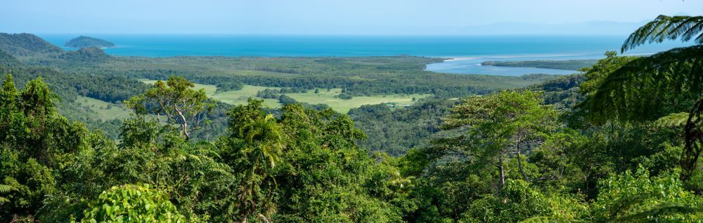A View Of A Lush Green Forest With A Body Of Water In The Background — Cairns Clear Water Company In Douglas Shire, QLD