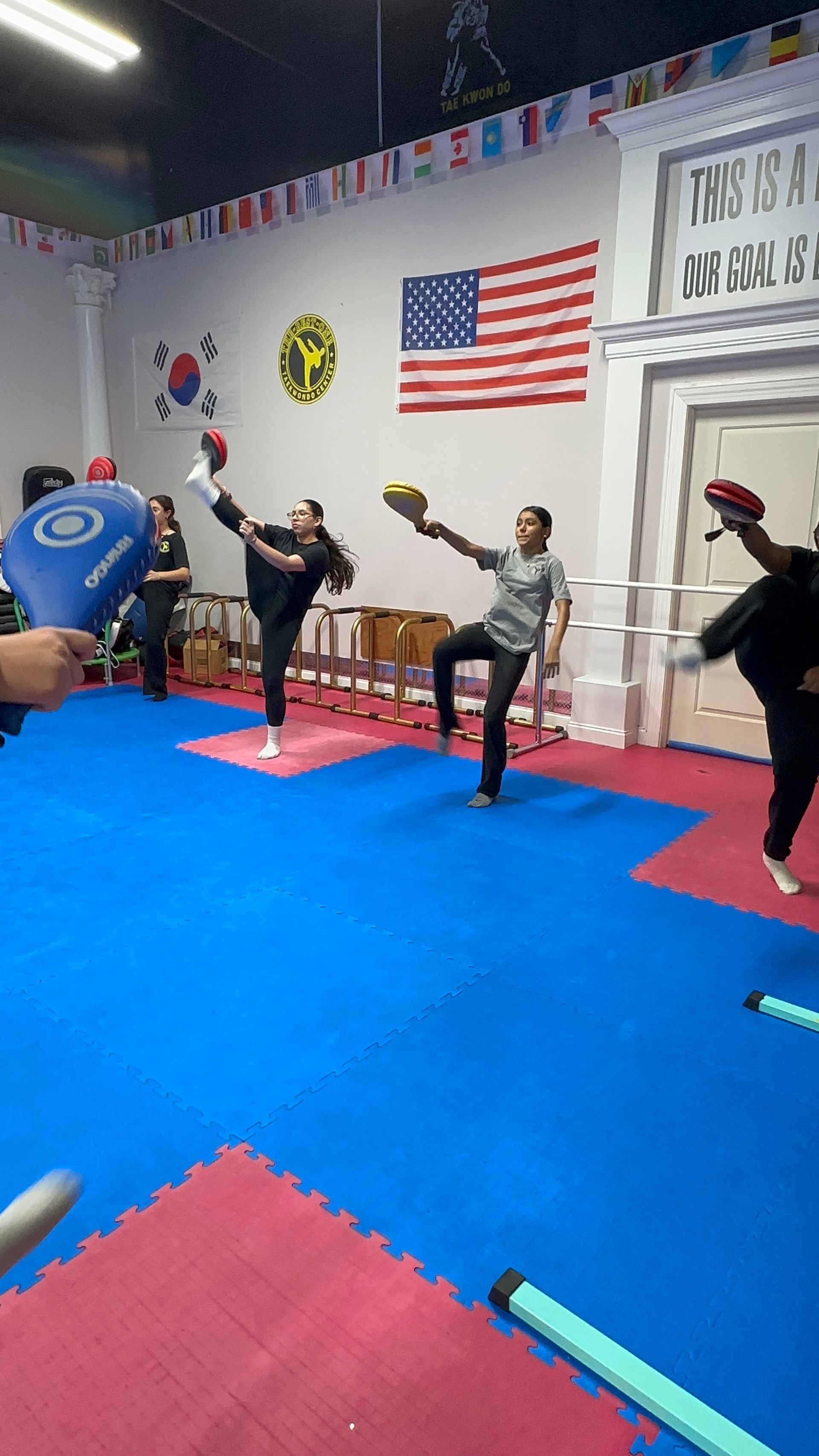 Martial arts class practicing high kicks on blue mats in a decorated studio