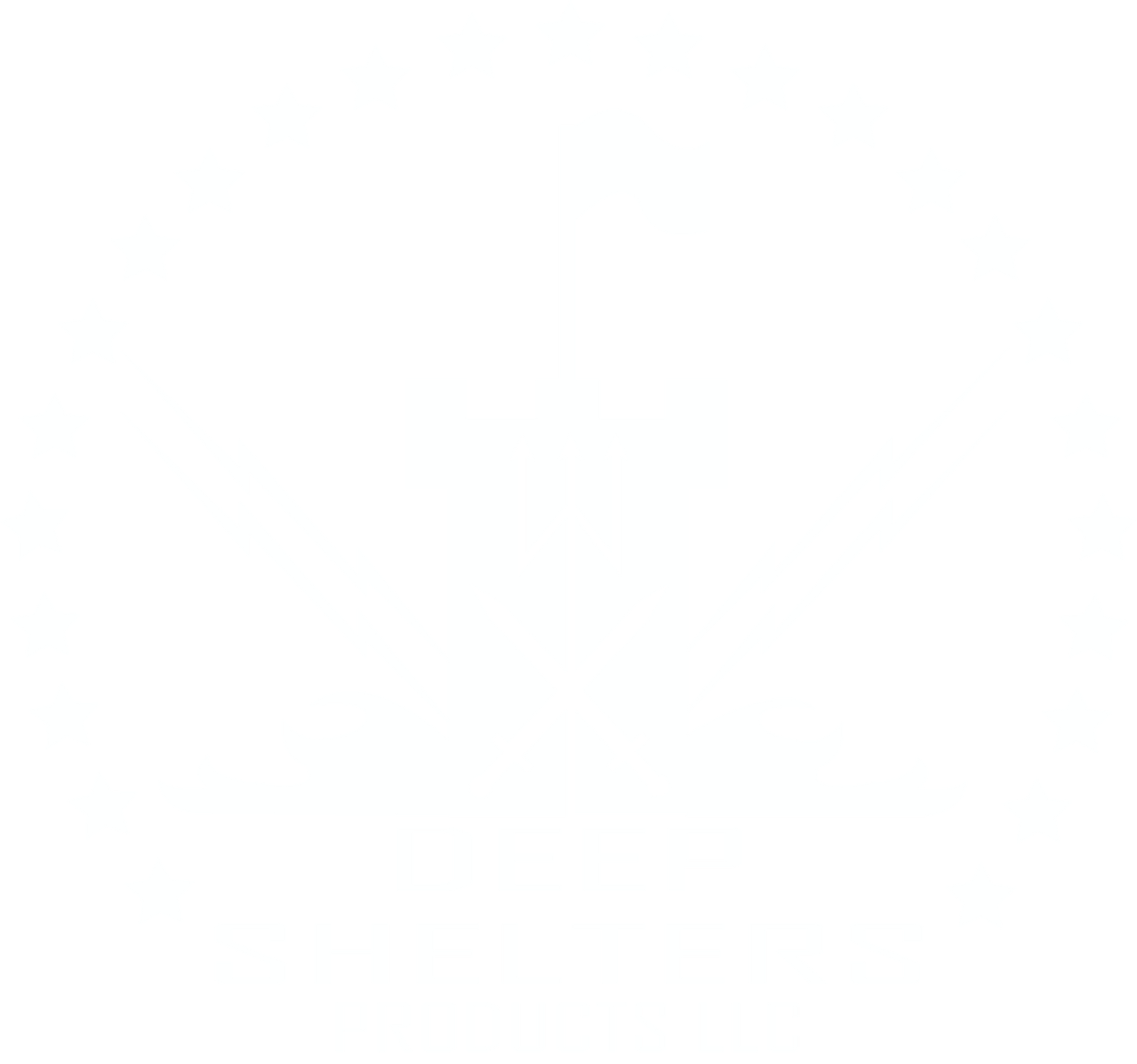 DS_Sec_Logo