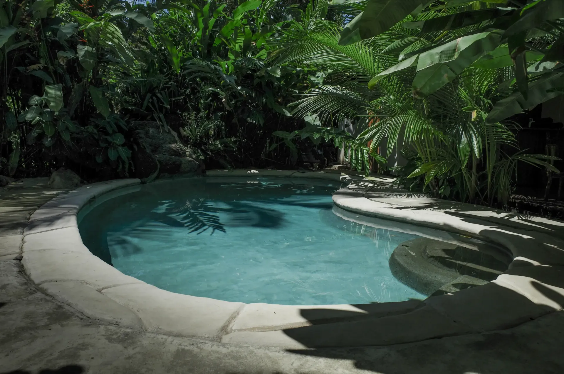 Small, round pool with clear water surrounded by lush green foliage.