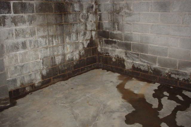 Basement Waterproofing — Flemington, NJ — Paramount Waterproofing Basement Waterproofing — Flemington, NJ — Paramount Waterproofing