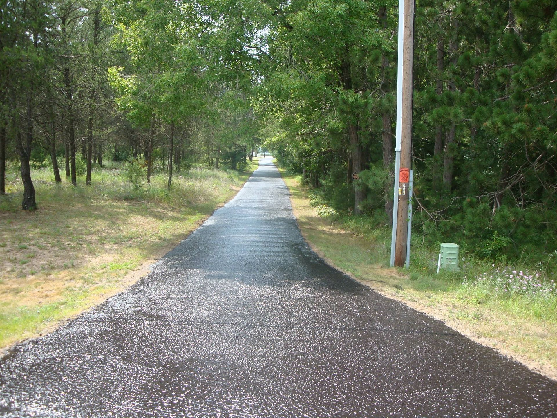 Paved path through trees, with a utility pole on the right side.