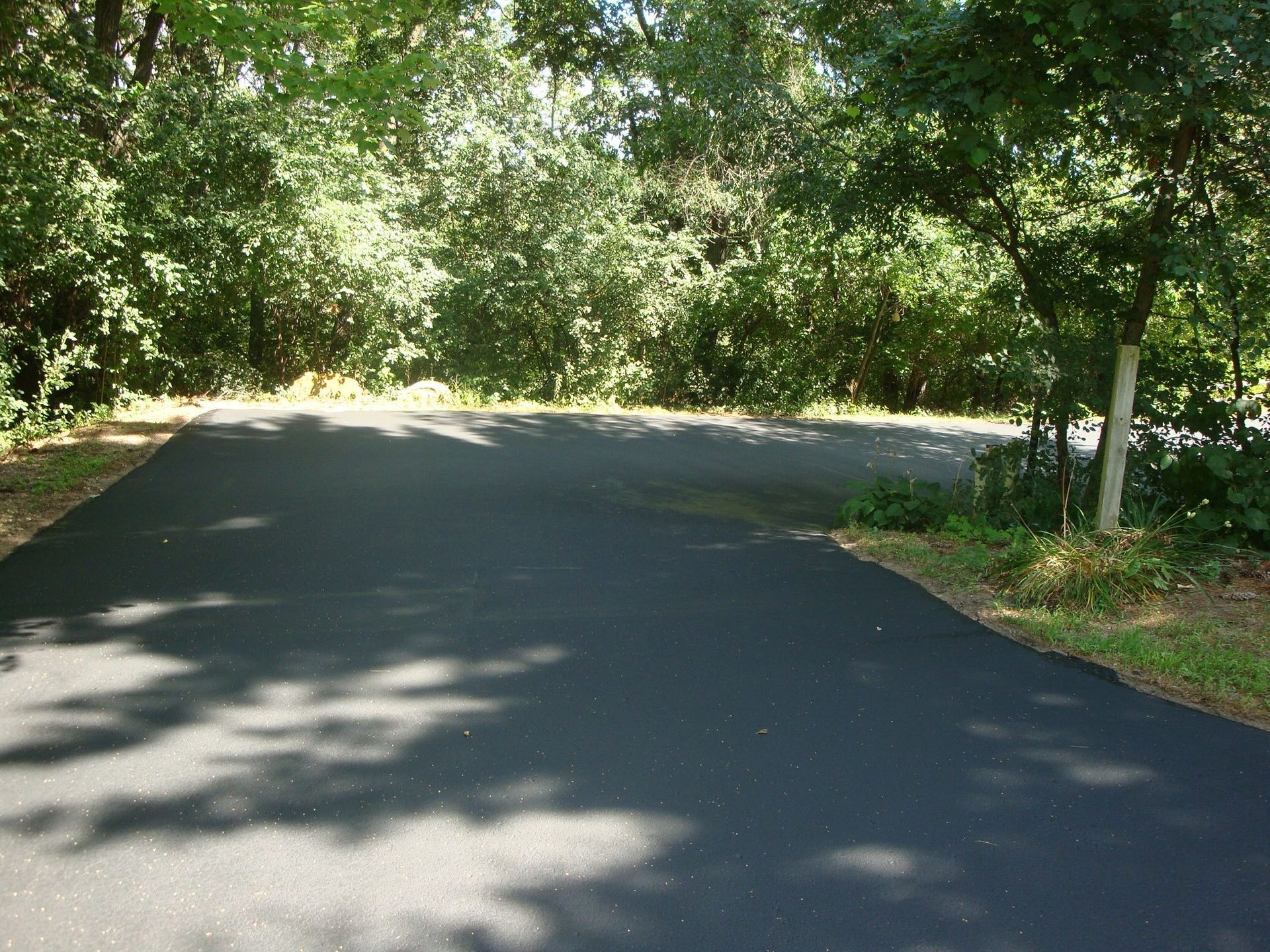 Black asphalt driveway leading to a wooded area, with green trees and shadows.