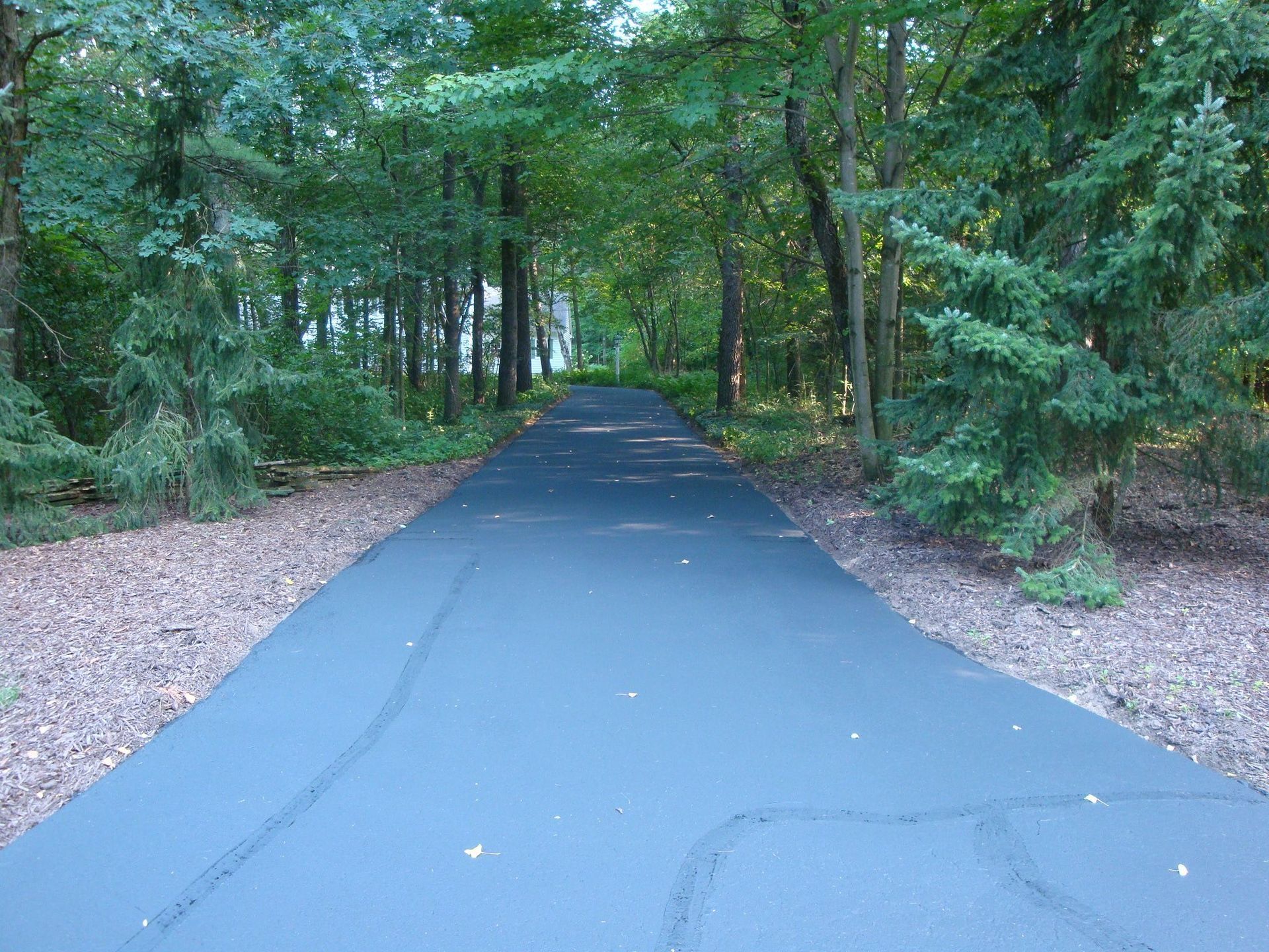 Black asphalt driveway through a wooded area, trees on both sides, leading to a distant house.