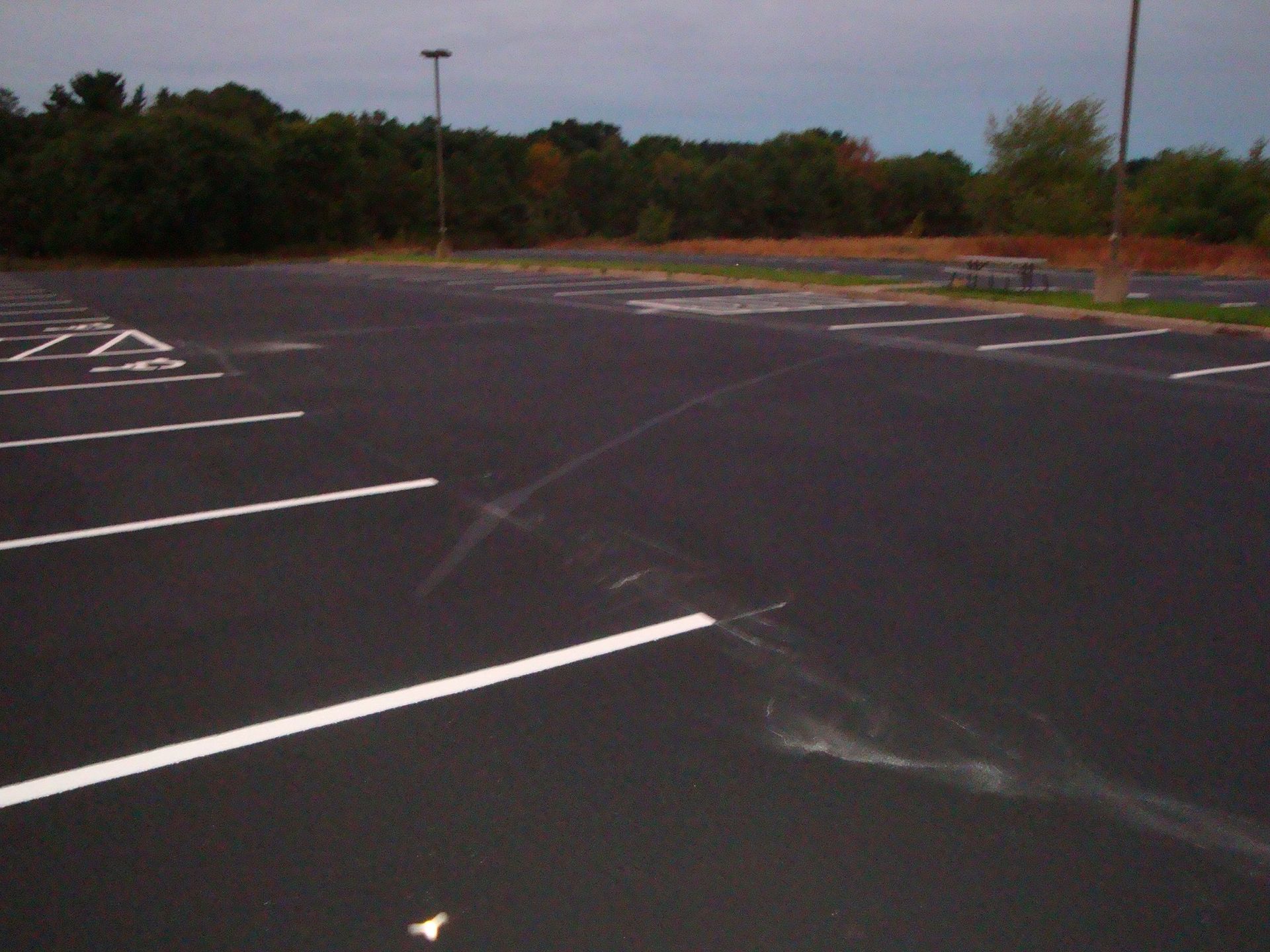 Empty asphalt parking lot with white lines, trees in the background, and an overcast sky.