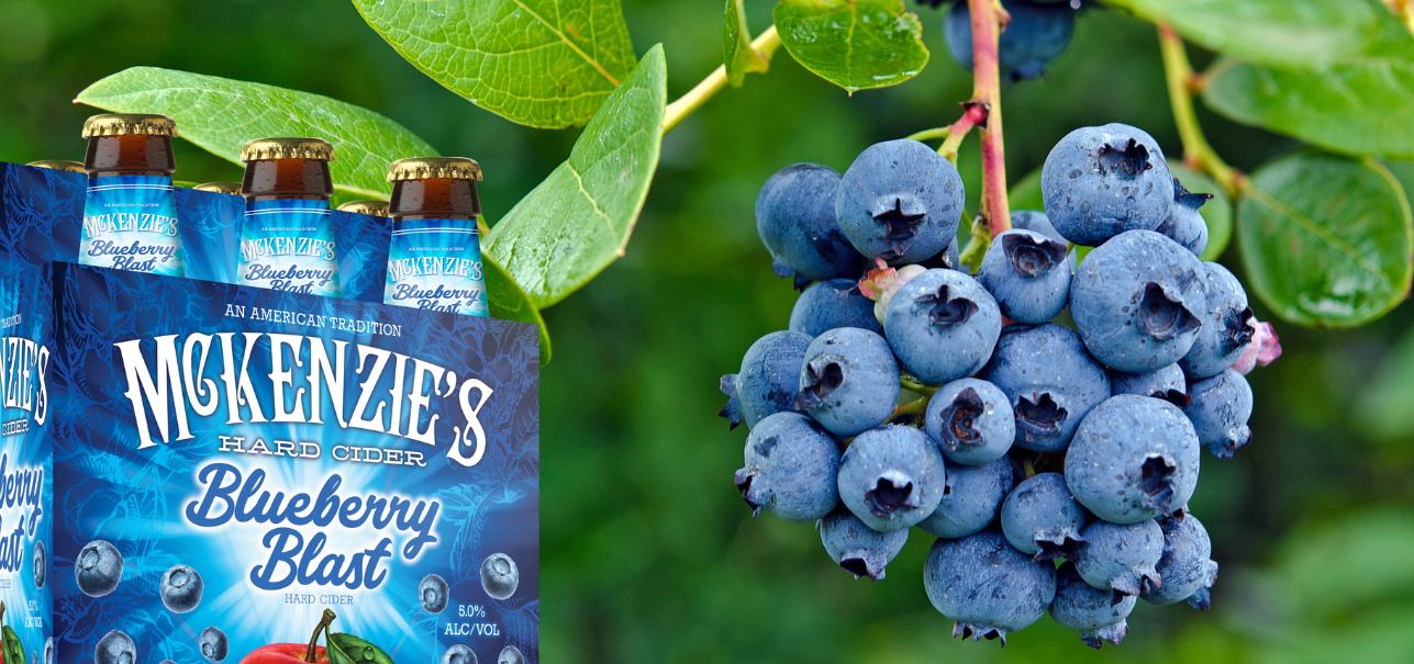 Blueberry Blast Cider McKenzies 6-pack