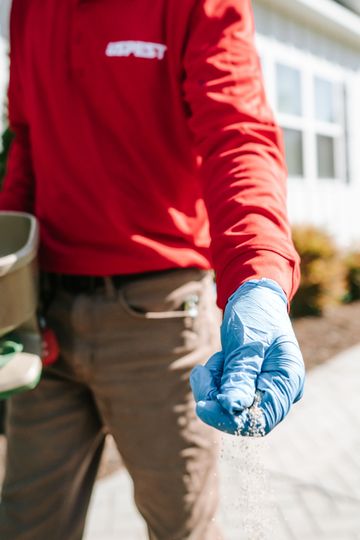 Technician in red uniform and blue gloves inspects a surface with a flashlight.
