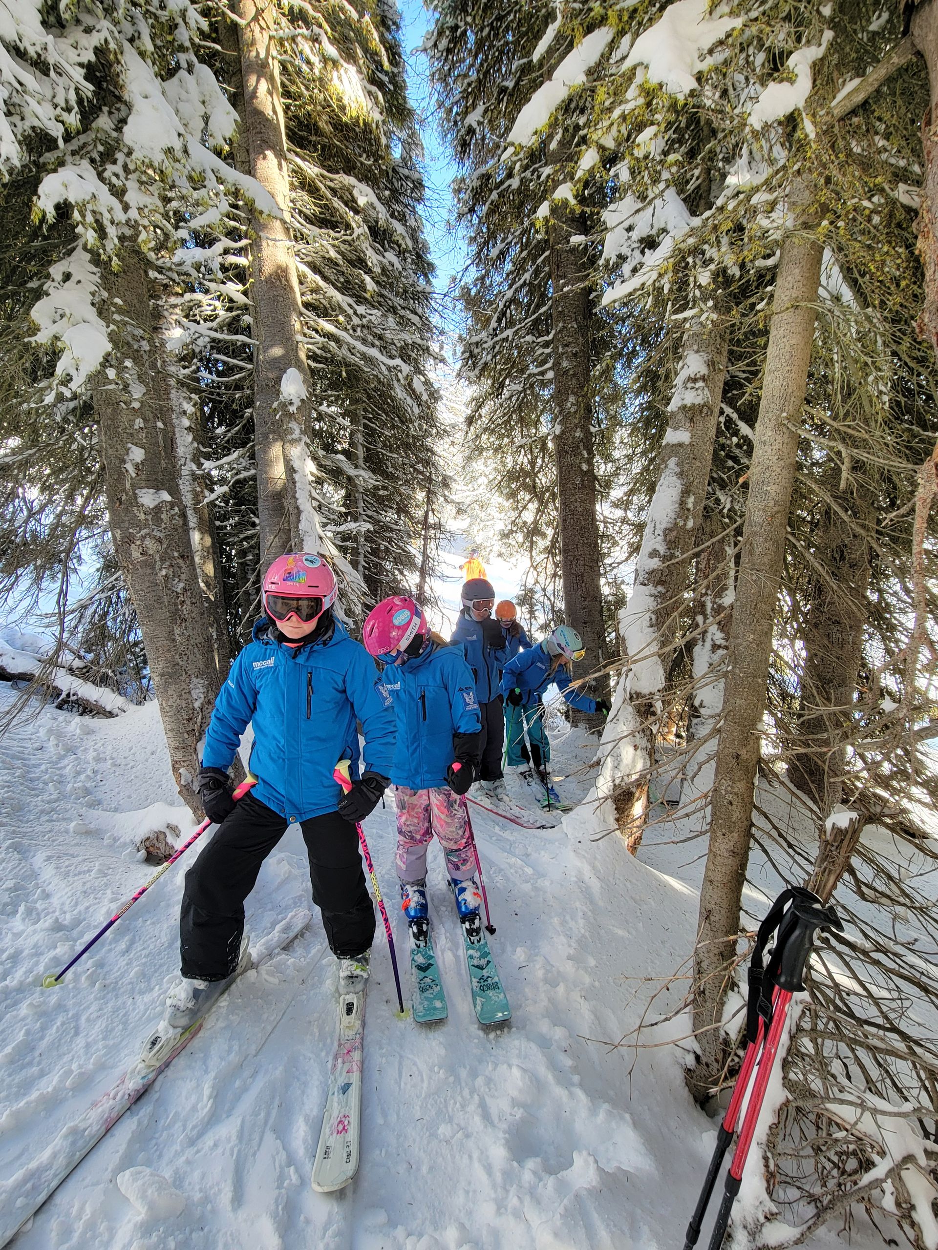 Three skiers in blue jackets and pink helmets on a snowy forest trail under tall trees.