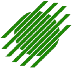 Green diagonal brush strokes forming an abstract scribble on a white background