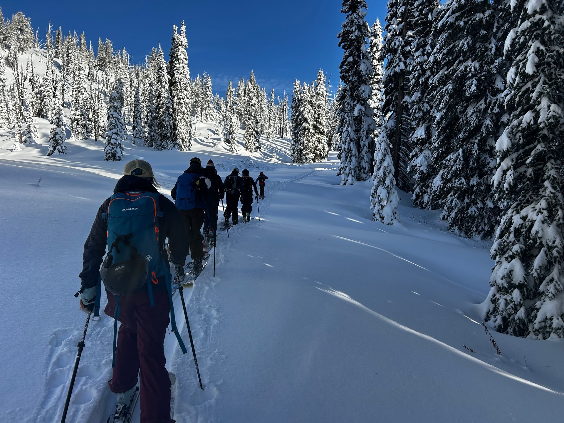 Backcountry