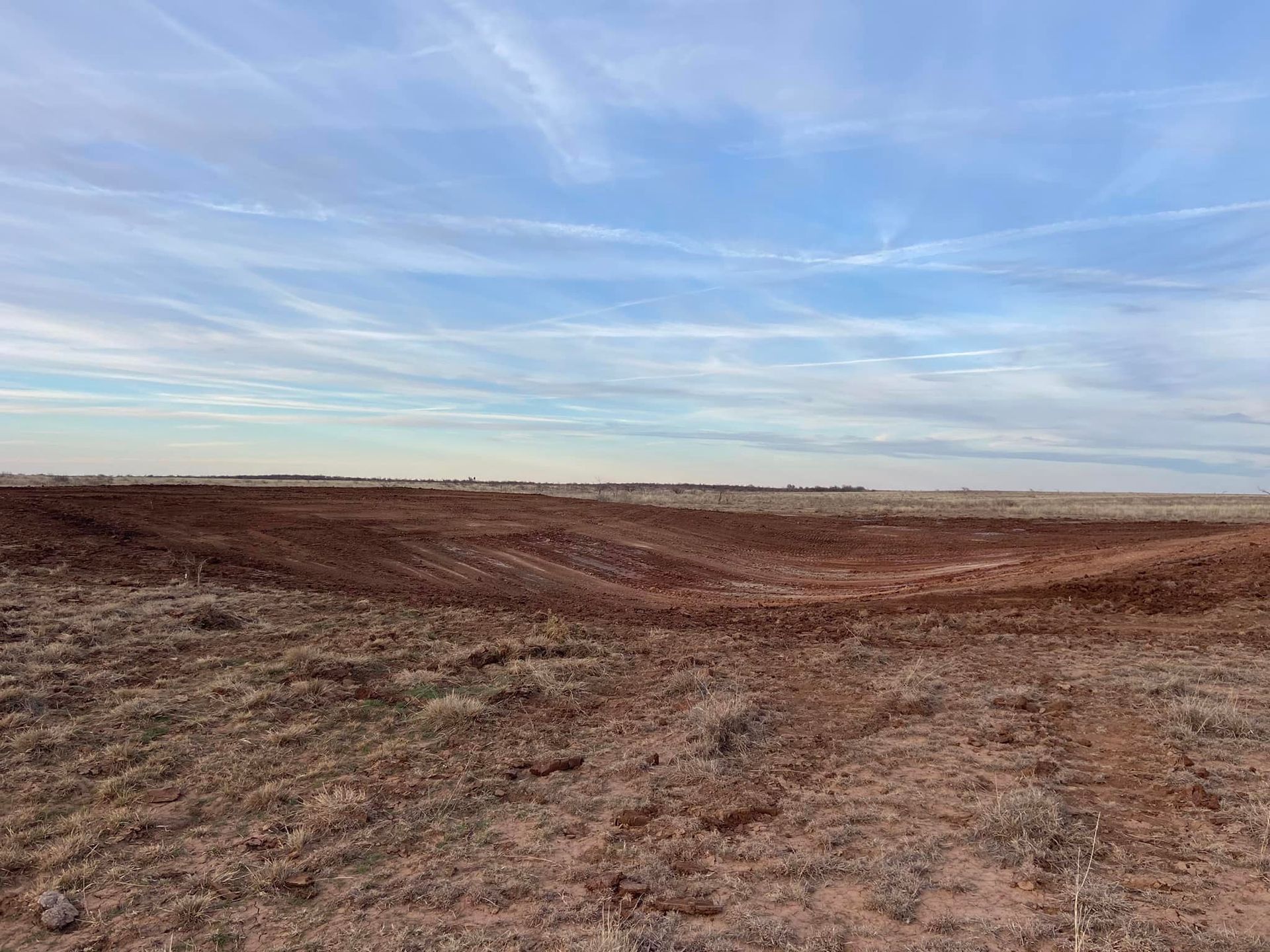 Brown field under a cloudy blue sky. Horizon with distant trees.
