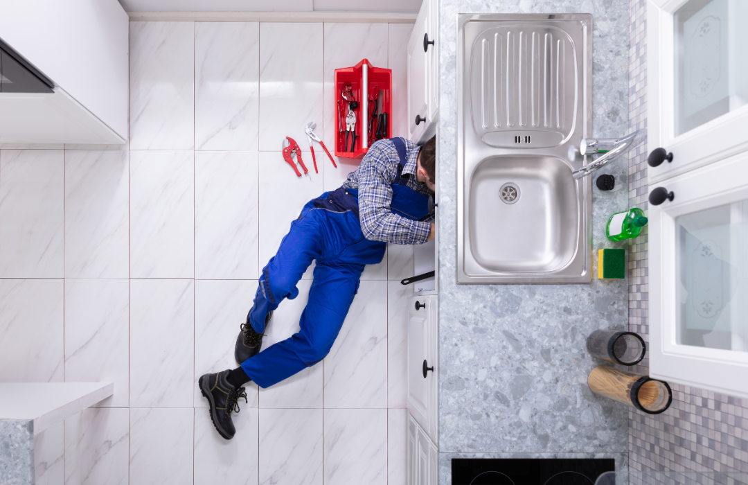 Landlord Law in North Carolina