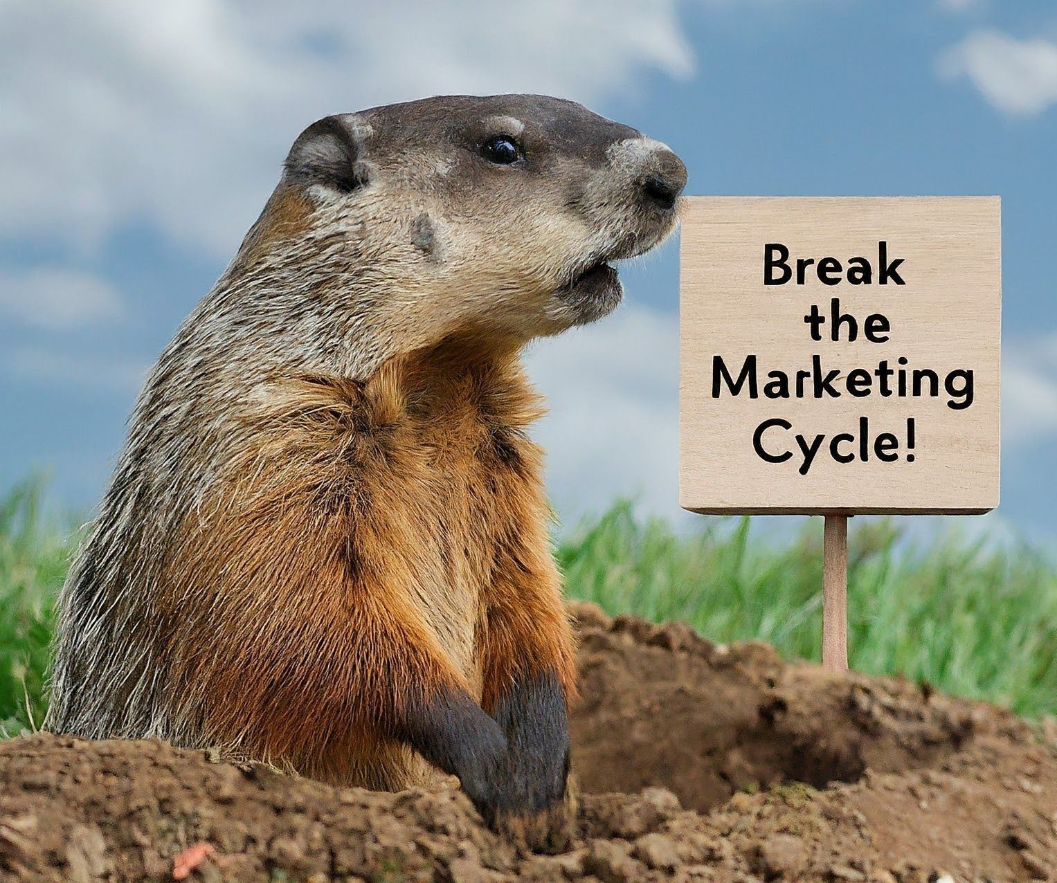 Groundhog with sign stating 