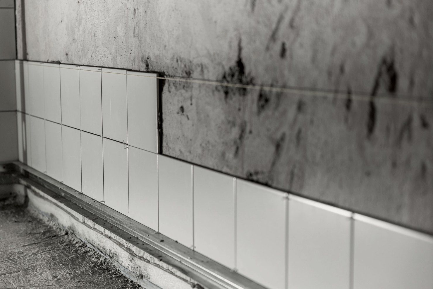 Partly tiled wall, with white tiles set along a guide line below bare, stained plaster