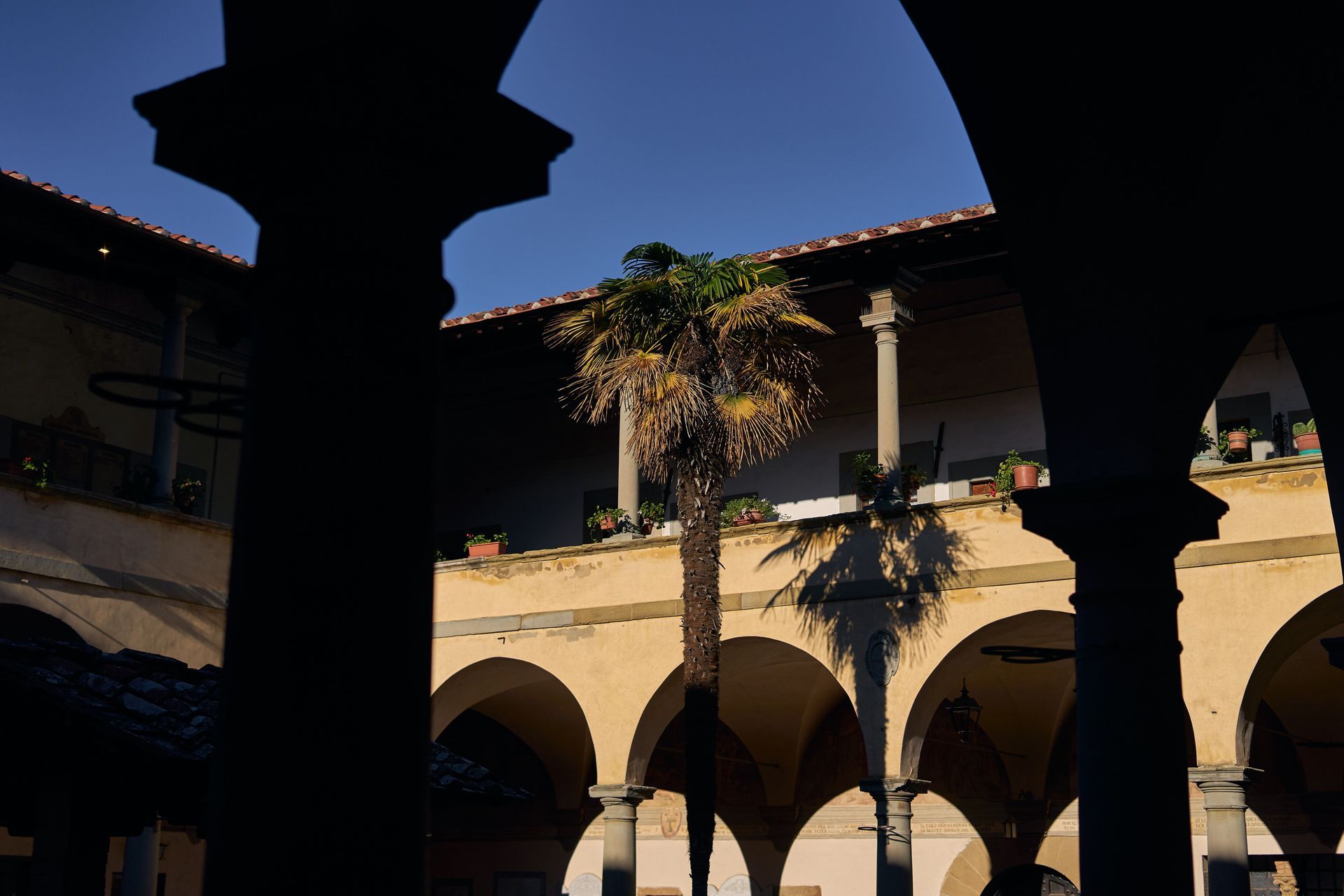 Dark stone arches framing a sunlit courtyard with a palm tree.