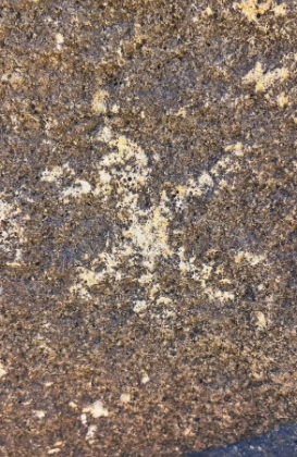 A close up of a rock with white spots on it.