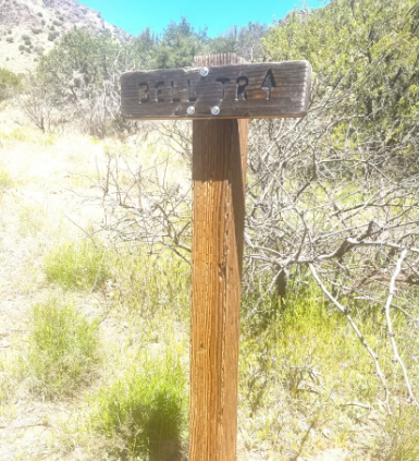 A wooden sign on a pole in the middle of a field.