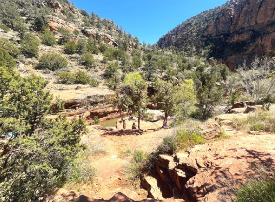 A valley filled with trees and rocks on a sunny day