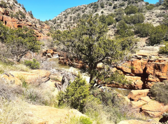 A blurred image of a valley with trees and rocks