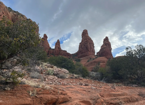 There are a lot of rocks in the background and a tree in the foreground.