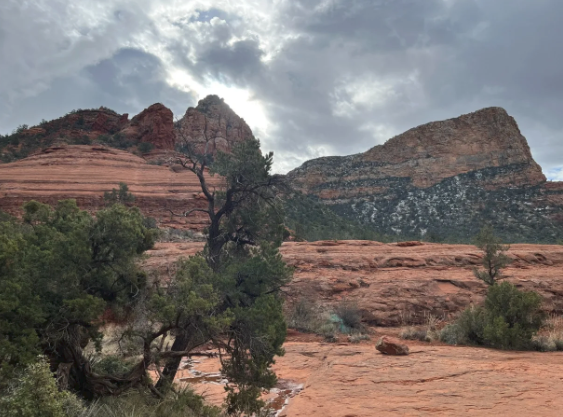 A desert landscape with trees and mountains in the background