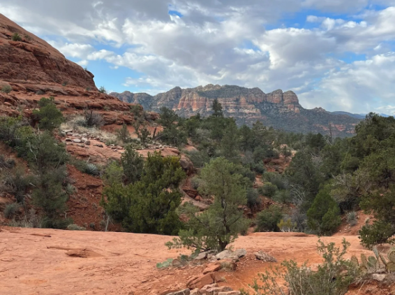A desert landscape with mountains in the background and trees in the foreground.