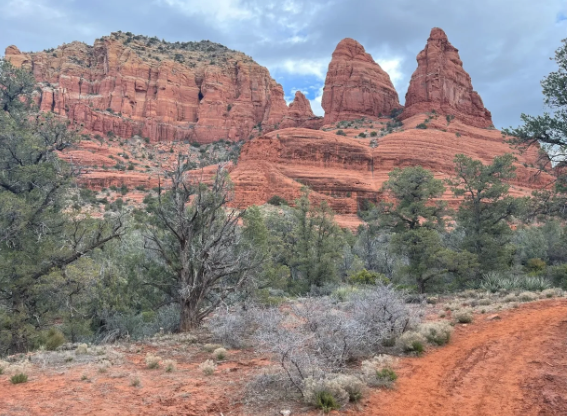 A blurred image of a desert landscape with red rocks and trees.