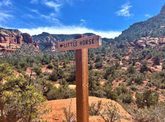 A wooden sign in the desert says little horse