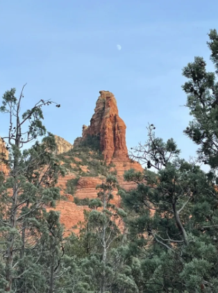 A mountain surrounded by trees with a moon in the sky