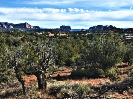 A desert landscape with trees and mountains in the background