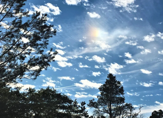 A blue sky with white clouds and trees in the foreground