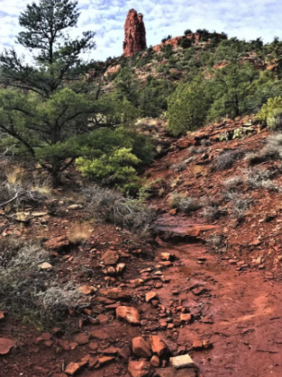 A dirt path leading up to a rocky hillside with trees in the background.